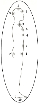 10 pôles